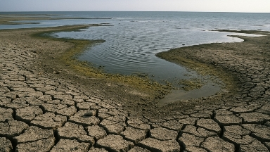 Қазақстан Солтүстік Аралды толтырудың жолын тапты
