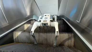 Енді астаналықтарды қоғамдық орындарда полицияның робот иті бақылайды