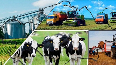 Almaty oblysynda aýdan ákimdigi jerge baılanysty jalǵan sheshim shyǵarǵan