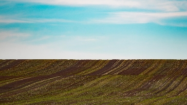 Алматы облысында пайдаланылмай жатқан 1,26 млн гектар жер анықталды