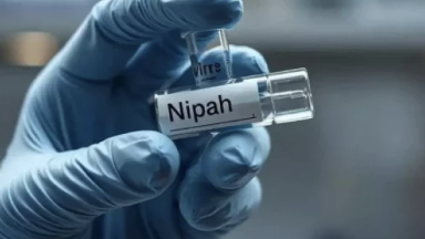 Арты өлімге әкеп соғатын Нипах вирусы: азаматтарға маңызды ескерту жасалды