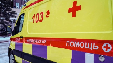 Шымкентте қалың қардан ағаш құлап, 4-сынып оқушысын басып қалды