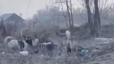 Алматы облысында қаңғыбас иттер егде әйелді талап тастаған