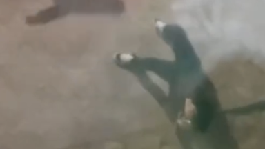 قىزىلوردادا جىگىتتى ءبىر توپ ءجاسوسپىرىم سوققىعا جىققان