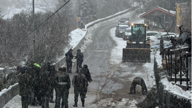 Алматыда қатты желден ағаштар құлады