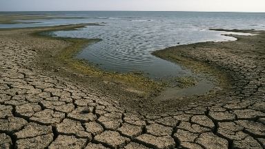 Солтүстік Аралды сақтау жобасы: Қазақстан қанша қаражат бөлді