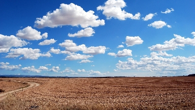 Алматы облысында қытайлықтарға жер сату туралы әкімдік түсініктеме берді