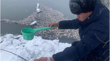 Айдабулка өзеніндегі балық қырылуы: спирт зауытына 21,3 млн теңге айыппұл салынды