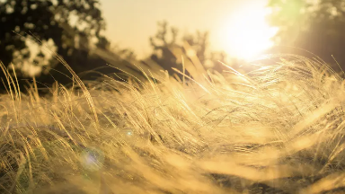 30 градусқа дейін ыстық: Қазақстанда күн жылынады