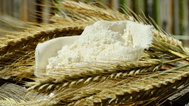 Даланың дәмі Нью-Йоркке жетті: Қазақстан ұны жаңа нарықта