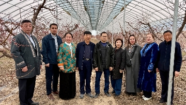 Қытайдағы іссапар: Жетісу университеті халықаралық әріптестікті кеңейтуде