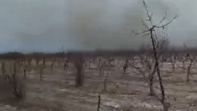 Қырғызстанда Ыстықкөл маңына жойғыш ұшақтан оқ-дәрі түсіп қалған