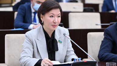 Ғылым бар, нәтиже жоқ – Сенат