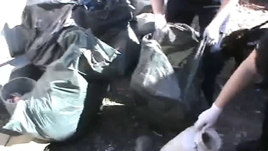 Jetisýda sheteldikter esirtki zerthanasyn uıymdastyrǵan