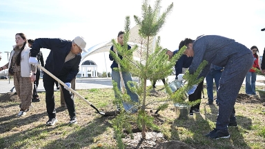 «Taza Qazaqstan»: Jetisý oblysynda jalpyoblystyq senbilik aıasynda 8 myń aǵash egildi