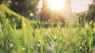 6 sáýirde aýa raıy qandaı bolady?