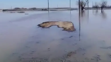 Ақмола облысында су тасқыны кезінде ер адам жоғалып кетті