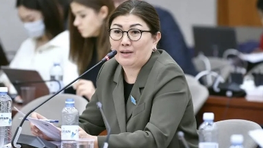 Бір жануарға – 74 мың, бір балаға – 17 мың: депутат Нұргүл Тау бюджет басымдықтарын қайта қарауды ұсынды