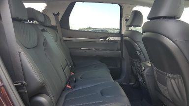 АҚШ-тағы оқиға: Қазақстанда Palisade қауіпсіздігі тексеріле бастады