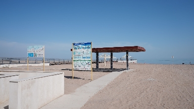 Алматы облысында жағажайлардың дайындығы тексерілді