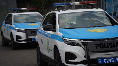 Ulytaýda tórt balanyń anasyn óltirip ketti