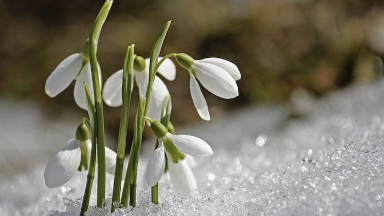 16 sáýirde aýa raıy qandaı bolady?