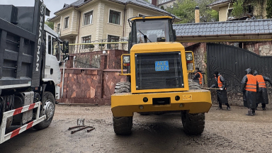 Алматыда лай көшкіні жүрді