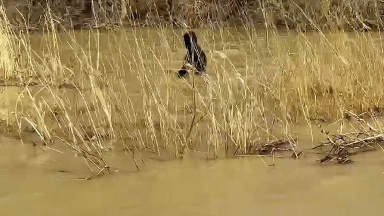 Aqtóbe oblysynda joǵalǵan 4-synyp oqýshysy óli tabyldy