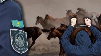Жетісуда 17 жыл сенімге кірген бақташы 46 млн теңгенің малын ұрлаған