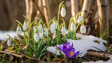 ماسكەۋ ماڭىنان سيكلون جىلجىپ كەلەدى: 23 ساۋىردە اۋا رايى قانداي بولادى؟
