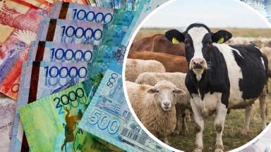 Абай облысында алаяқтар "фермерлерді қолдаймыз" деп 211 млн теңге жымқырған