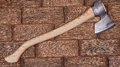 الماتىدا وقۋشى مەكتەپكە بالتامەن كەلگەن