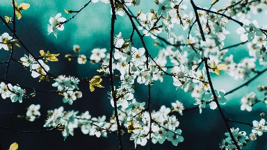 Búgin aýa raıy qandaı bolady?