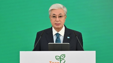 Балалар мен ересектер жиі зардап шегуде – Президент қаңғыбас иттер мәселесіне қатысты пікір білдірді