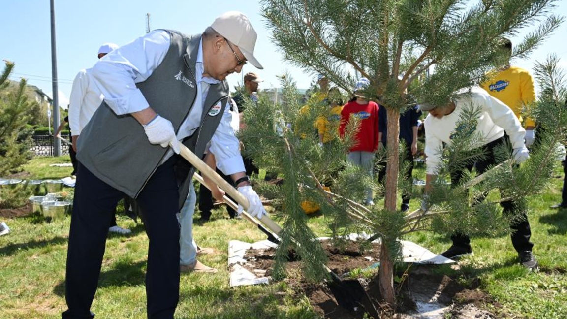 «Жасыл желек» республикалық акциясы: Жетісуда 8 мыңнан астам ағаш отырғызылды
