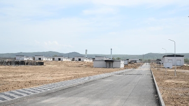 Jetisýda tazy jáne tóbet ıt tuqymdaryn ósirý ortalyǵy salynyp jatyr